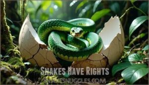 snakes have rights