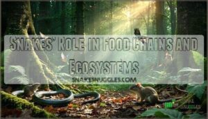 snakes’ role in food chains and ecosystems