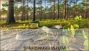 southern hognose snake – coastal plain native