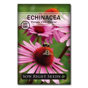 Sow Right Seeds   Purple B07VTRLCGZ