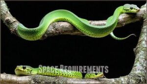 space requirements