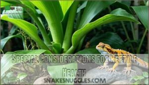 special considerations for reptile health