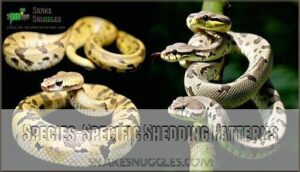 species-specific shedding patterns