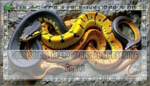 statistical predictions and breeding goals