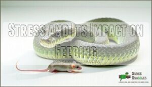 stress and its impact on feeding