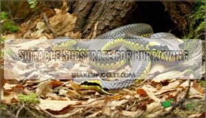 suitable substrate for burrowing