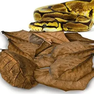 SunGrow Leaf Litter for Snakes, B07XYTQC4Q