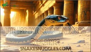 the asp and egyptian cobra explained