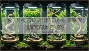 the best pet snakes vet reveals 4 snake breeds to consider