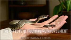 the effects of positive reinforcement