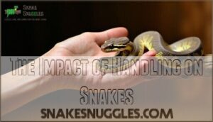 the impact of handling on snakes