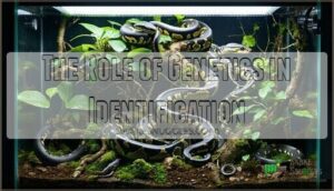 the role of genetics in identification