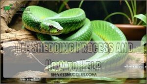 the shedding process and how to help