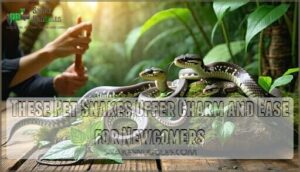 these pet snakes offer charm and ease for newcomers