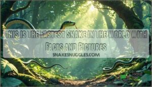 this is the fastest snake in the world with facts and pictures