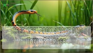 tiger keelback snake and toxin storage