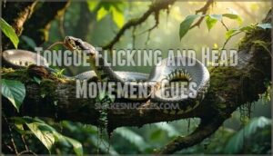 tongue flicking and head movement cues