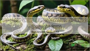 top 7 best snake breeds for total beginners