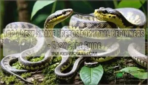 top 7 best snake breeds for total beginners top 7 best snake breeds for total beginners