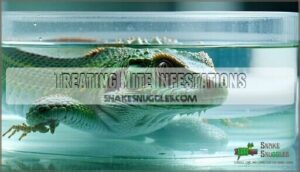 treating mite infestations