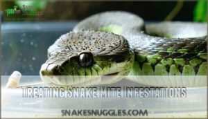treating snake mite infestations