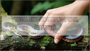 typical bite sensations (pinch, pressure)