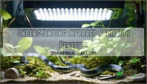 understanding infrared radiation benefits