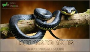 unique facts and care tips