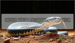 unique venom absorption mechanism