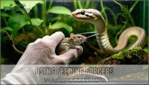 using feeding forceps