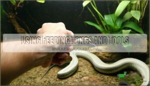 using feeding tongs and tools