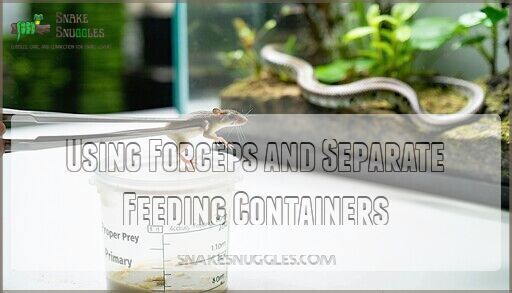 View of Snake Feeding Size Chart: Complete Guide by Age & Species 2025