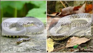 venomous vs non-venomous differences