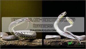 venomous vs. non-venomous courtship differences