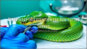 veterinary intervention for non-eating snakes