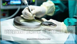 veterinary removal of retained caps