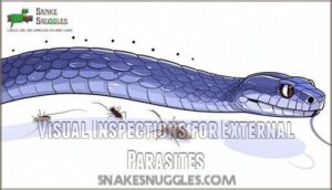 visual inspections for external parasites