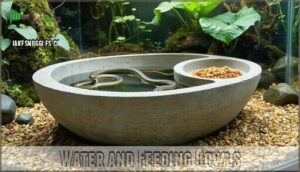 water and feeding bowls