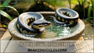water bowl management