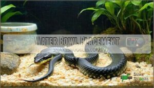 water bowl placement
