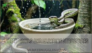 water bowls and climbing structures