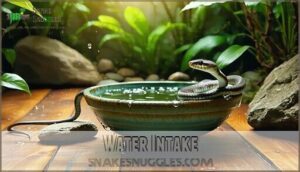water intake
