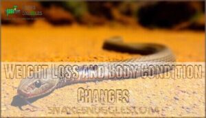 weight loss and body condition changes