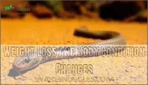 weight loss and body condition changes weight loss and body condition changes