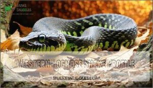 western hognose snake profile