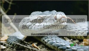 what causes snake stuck shed