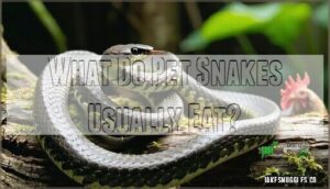 what do pet snakes usually eat