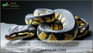 what is the axanthic morph