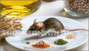 what nutrients do corn snakes get from mice