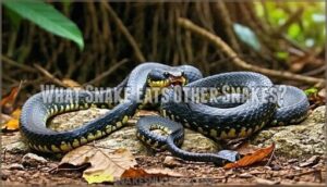 what snake eats other snakes